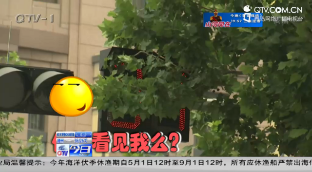 行道树遮挡信号灯 司机误闯红灯会被罚吗