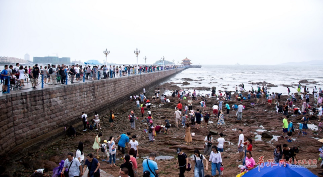 雨中游客热情不减 栈桥景区人气依旧爆棚(图)