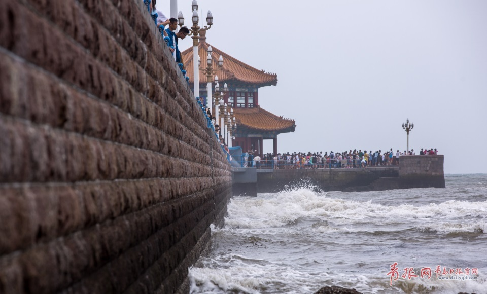 雨中游客热情不减 栈桥景区人气依旧爆棚(图)