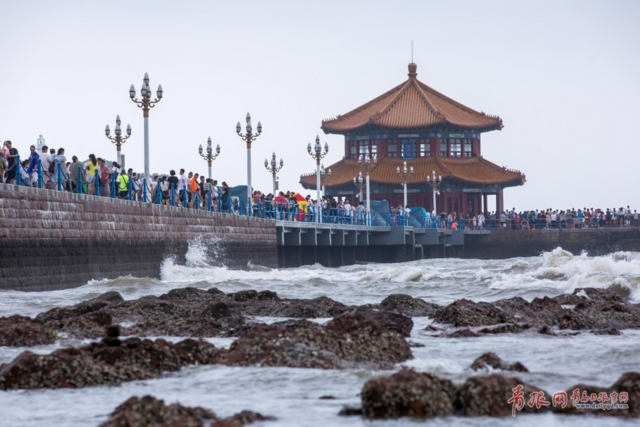 雨中游客热情不减 栈桥景区人气依旧爆棚(图)